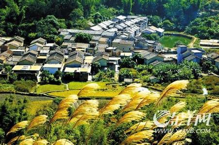 增城天氣預報10天查詢