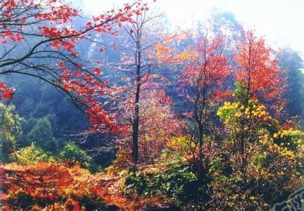 新豐天氣預報10天查詢