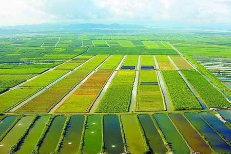 斗門天氣預(yù)報10天查詢