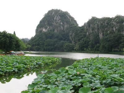 端州天氣預報10天查詢