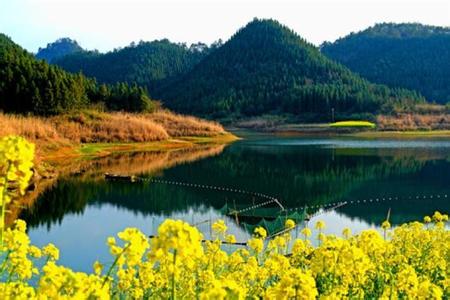 龍川天氣預報10天查詢