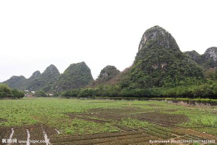 云城天氣預報10天查詢