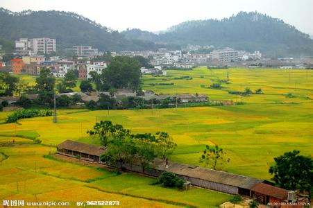 新興天氣預(yù)報(bào)10天查詢