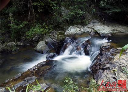 蒼梧天氣預報10天查詢