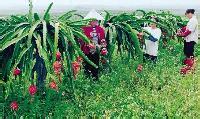 欽南天氣預報10天查詢