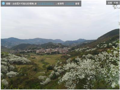 欽北天氣預(yù)報10天查詢