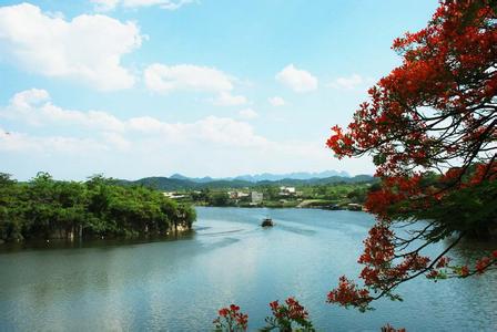 平果天氣預報10天查詢