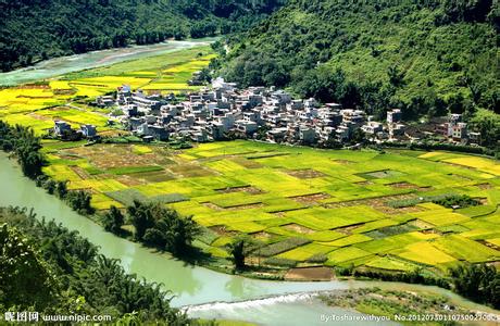 樂業天氣預報10天查詢