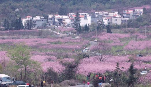 金城江天氣預(yù)報10天查詢
