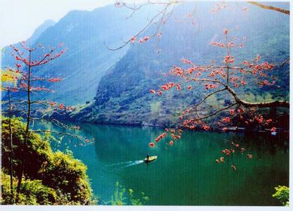 大化天氣預(yù)報(bào)10天查詢