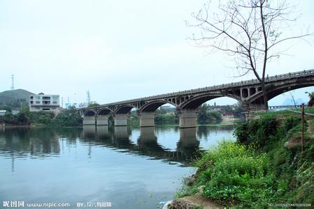 宜州天氣預(yù)報(bào)10天查詢