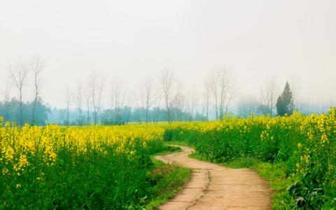 潼南天氣預報10天查詢