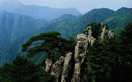 墊江天氣預報10天查詢