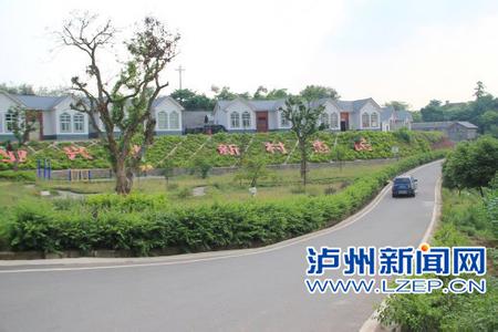江陽天氣預(yù)報(bào)10天查詢