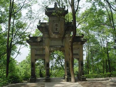 瀘縣天氣預報10天查詢