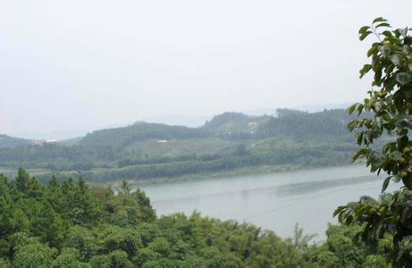 中江天氣預報10天查詢