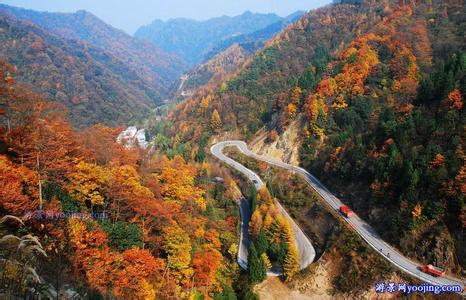巴中天氣預報10天查詢