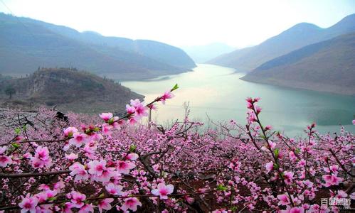 普定天氣預報10天查詢