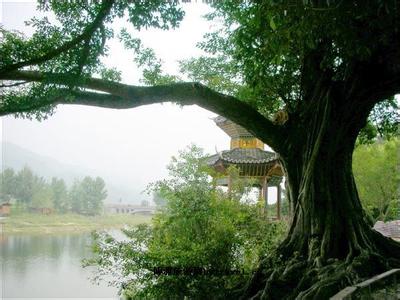 榕江天氣預(yù)報(bào)10天查詢