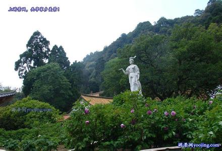 武定天氣預(yù)報(bào)10天查詢