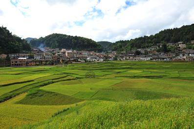 馬關(guān)天氣預(yù)報(bào)10天查詢