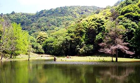 永平天氣預報10天查詢