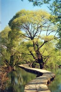 鶴慶天氣預(yù)報(bào)10天查詢