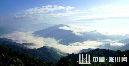 隴川天氣預報10天查詢