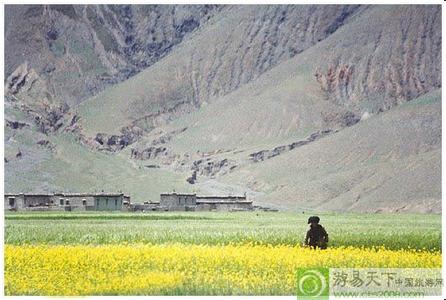 薩迦天氣預(yù)報(bào)10天查詢(xún)