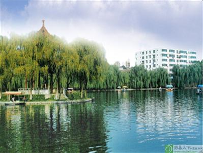 蓮湖天氣預報10天查詢
