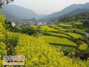王益天氣預(yù)報(bào)10天查詢