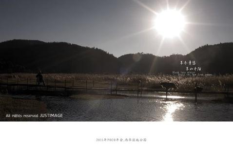 千陽天氣預報10天查詢