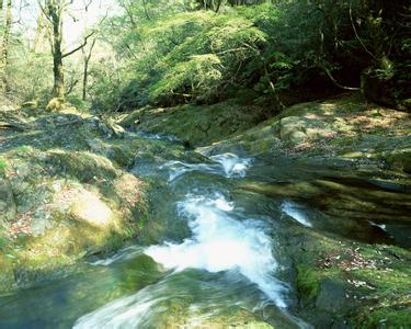 清澗天氣預報10天查詢