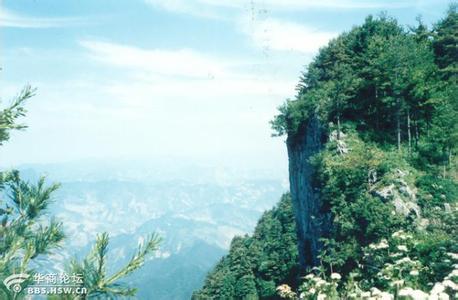 山陽天氣預(yù)報10天查詢
