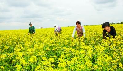民樂(lè)天氣預(yù)報(bào)10天查詢