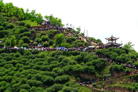 岷縣天氣預報10天查詢
