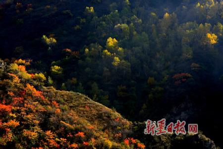 鞏留天氣預(yù)報10天查詢