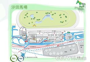 沙田天氣預報10天查詢