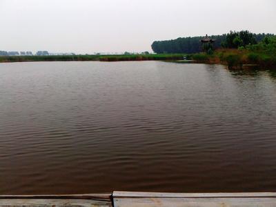 唐山古冶天氣預(yù)報_古冶天氣預(yù)報一周7天10天15天唐山古冶天氣預(yù)報,古冶天氣預(yù)報一周7天10天15天