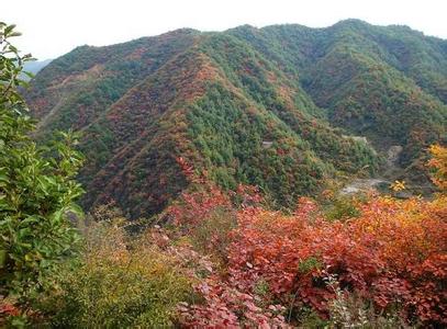 邢臺臨城天氣預(yù)報_臨城天氣預(yù)報一周7天10天15天邢臺臨城天氣預(yù)報,臨城天氣預(yù)報一周7天10天15天