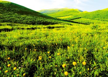 張家口崇禮天氣預報_崇禮天氣預報一周7天10天15天張家口崇禮天氣預報,崇禮天氣預報一周7天10天15天