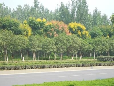 衡水阜城天氣預報_阜城天氣預報一周7天10天15天衡水阜城天氣預報,阜城天氣預報一周7天10天15天
