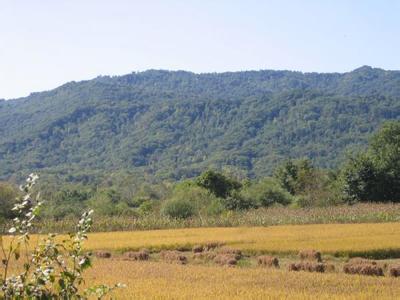 大同南郊天氣預報_南郊天氣預報一周7天10天15天大同南郊天氣預報,南郊天氣預報一周7天10天15天