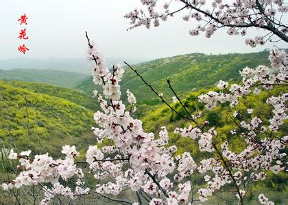 臨汾安澤天氣預報_安澤天氣預報一周7天10天15天臨汾安澤天氣預報,安澤天氣預報一周7天10天15天