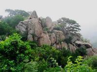阜新清河門天氣預報_清河門天氣預報一周7天10天15天阜新清河門天氣預報,清河門天氣預報一周7天10天15天