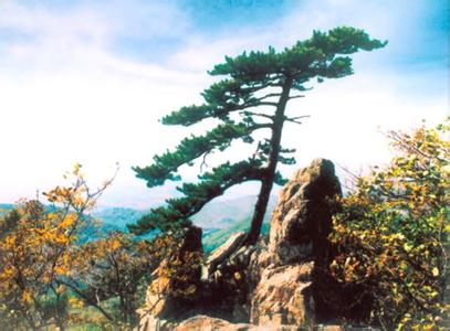 鐵嶺西豐天氣預報_西豐天氣預報一周7天10天15天鐵嶺西豐天氣預報,西豐天氣預報一周7天10天15天