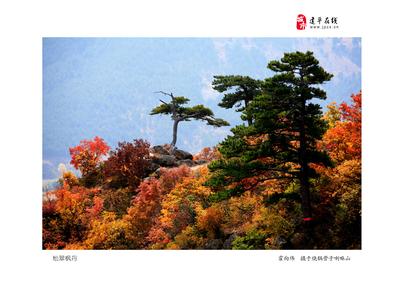 朝陽(yáng)建平天氣預(yù)報(bào)_建平天氣預(yù)報(bào)一周7天10天15天朝陽(yáng)建平天氣預(yù)報(bào),建平天氣預(yù)報(bào)一周7天10天15天