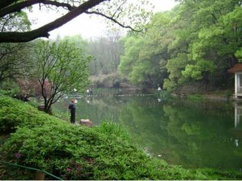 白山江源天氣預報_江源天氣預報一周7天10天15天白山江源天氣預報,江源天氣預報一周7天10天15天