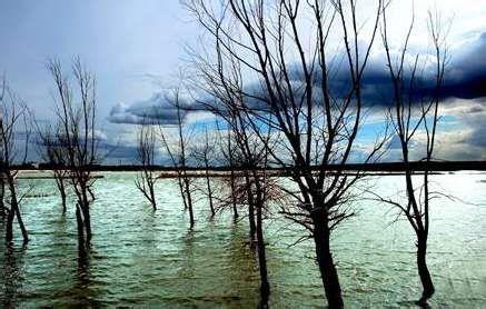 齊齊哈爾龍沙天氣預報_龍沙天氣預報一周7天10天15天齊齊哈爾龍沙天氣預報,龍沙天氣預報一周7天10天15天
