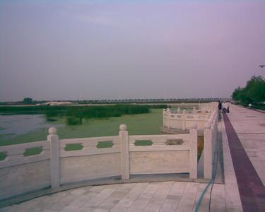 齊齊哈爾泰來天氣預(yù)報(bào)_泰來天氣預(yù)報(bào)一周7天10天15天齊齊哈爾泰來天氣預(yù)報(bào),泰來天氣預(yù)報(bào)一周7天10天15天